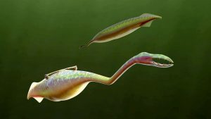 tullymonster_1280p