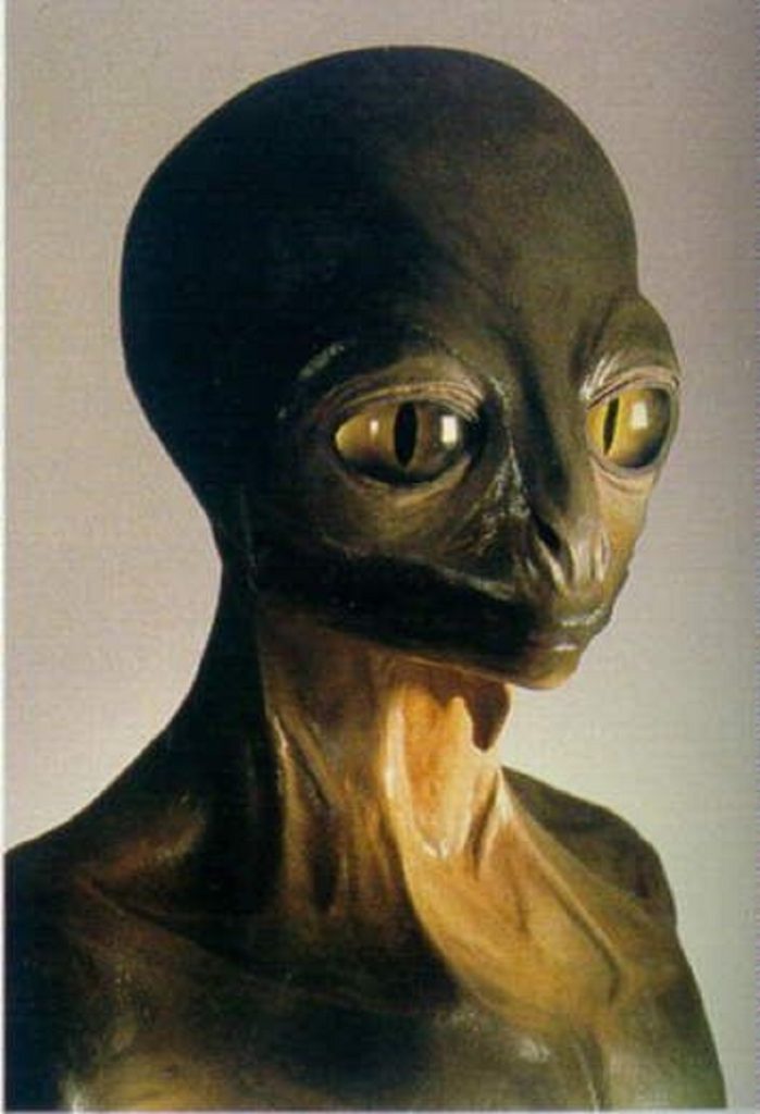 Unveiling the Enigma: Exploring the Real Appearance of Aliens