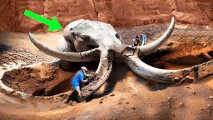 recent-discoveries-on-prehistoric-creatures-unveiling-the-wonders-of-history-101836-768×432