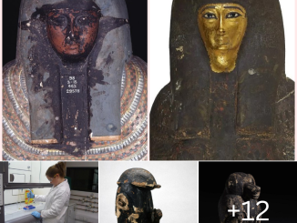 Ancient Egyptian Coffin Mystery
