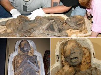 Chinese mummy