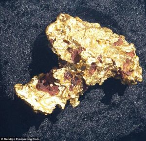 Two giant pieces of gold worth nearly 200,000 USD