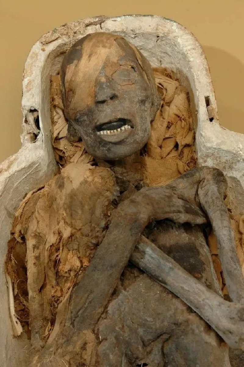 Chinese mummy