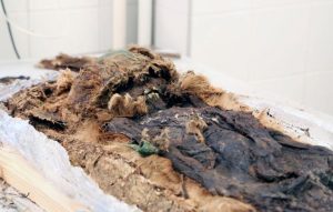 Newly discovered ancient mummy