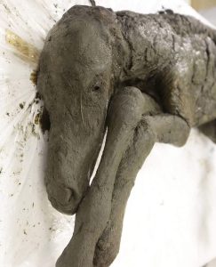 42,000 year old horse buried in ice
​