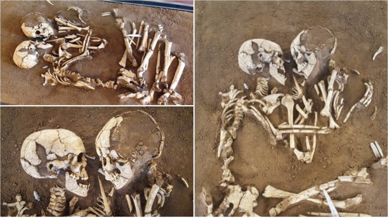 The lovers of valdaro are a pair of human skeletons