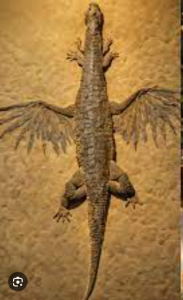 A 230-Million-Year-Old Crocodile-Bird Hybrid