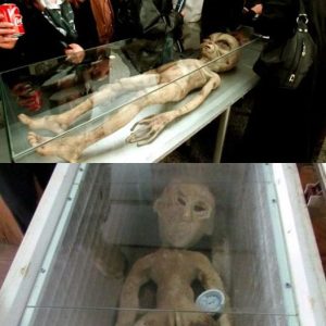 Alien mummy found