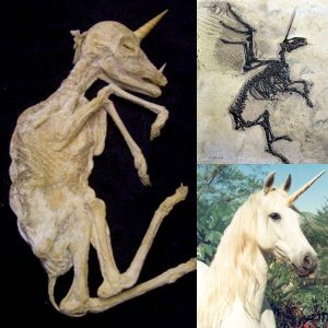 The Enigma of Scotland's Ancient Unicorn