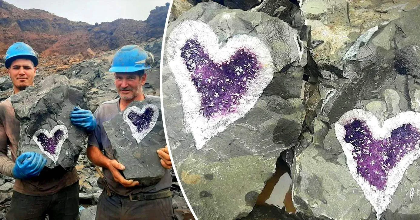 Heart-shaped amethyst crystals were unearthed by miners in Uruguay, surprising many people and raising many questions.nguyen01