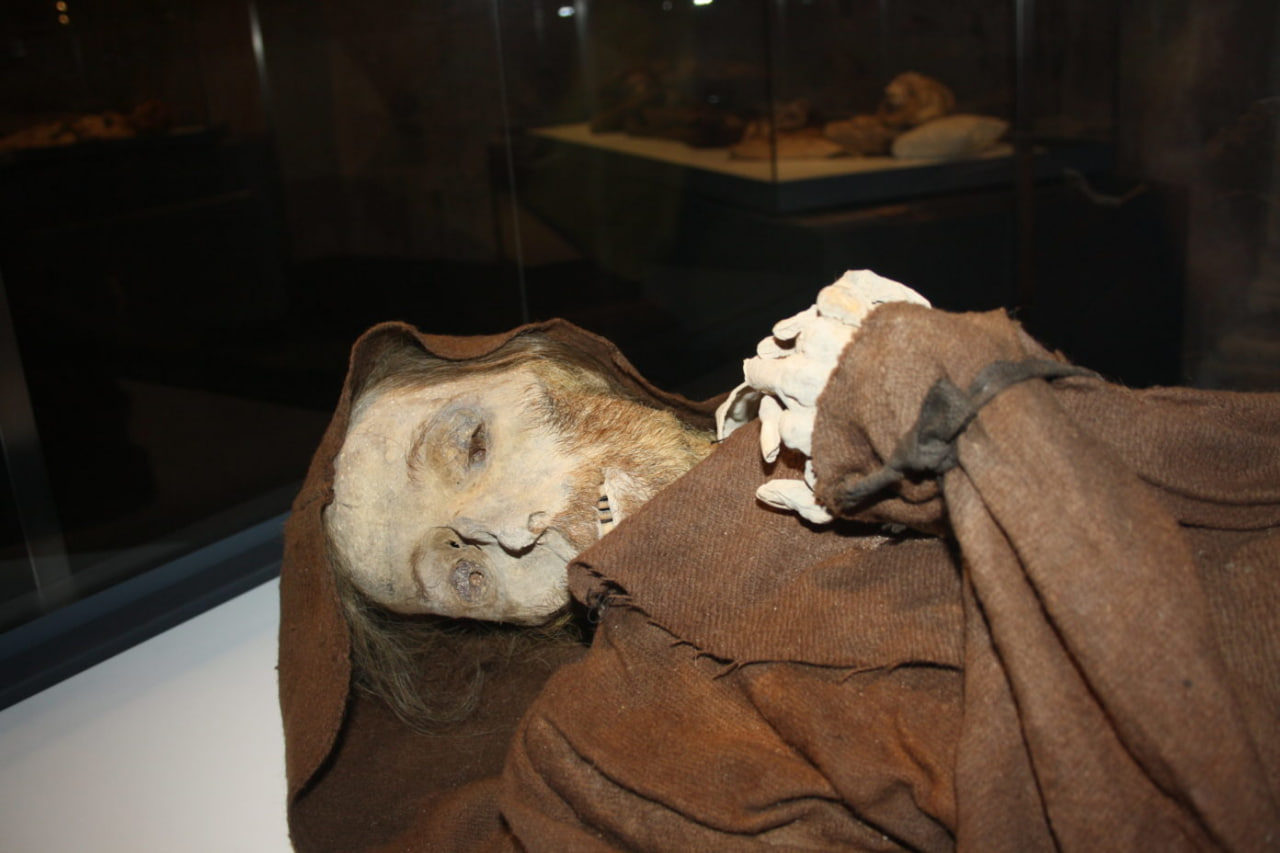 Mummified 'Vincent van Gogh' found in Spanish church