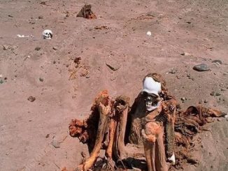 Ancient skeletons in the desert