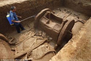 The Discovery of a 3000-Year-Old