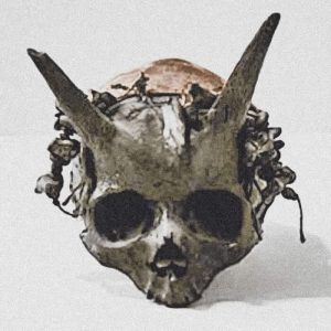 horned-giant-skulls-dating-back-to-prehistoric-times-v0-wdd7o666087a1